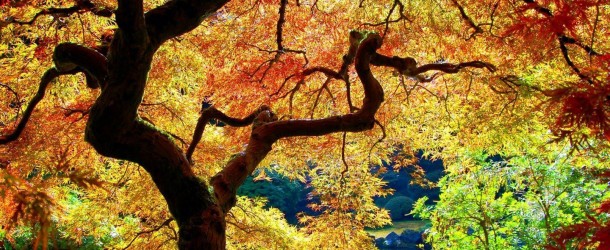 As poucas coisas que duram para sempre têm sentido religioso