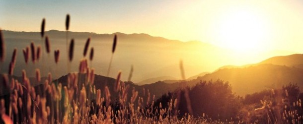 Marcas de uma igreja viva