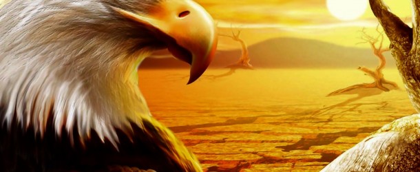 Imagine ser quem você realmente é