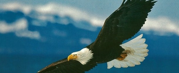 A graça de Deus é elástica!