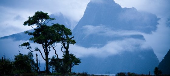 Esqueça-se de si mesmo