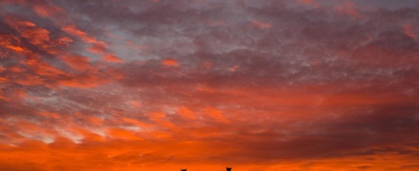 A segunda chance de Pedro