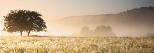 Jesus, o amigo dos pecadores