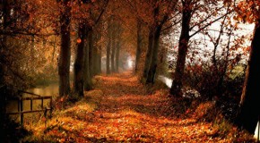 Não basta ser legal