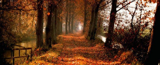 Não basta ser legal